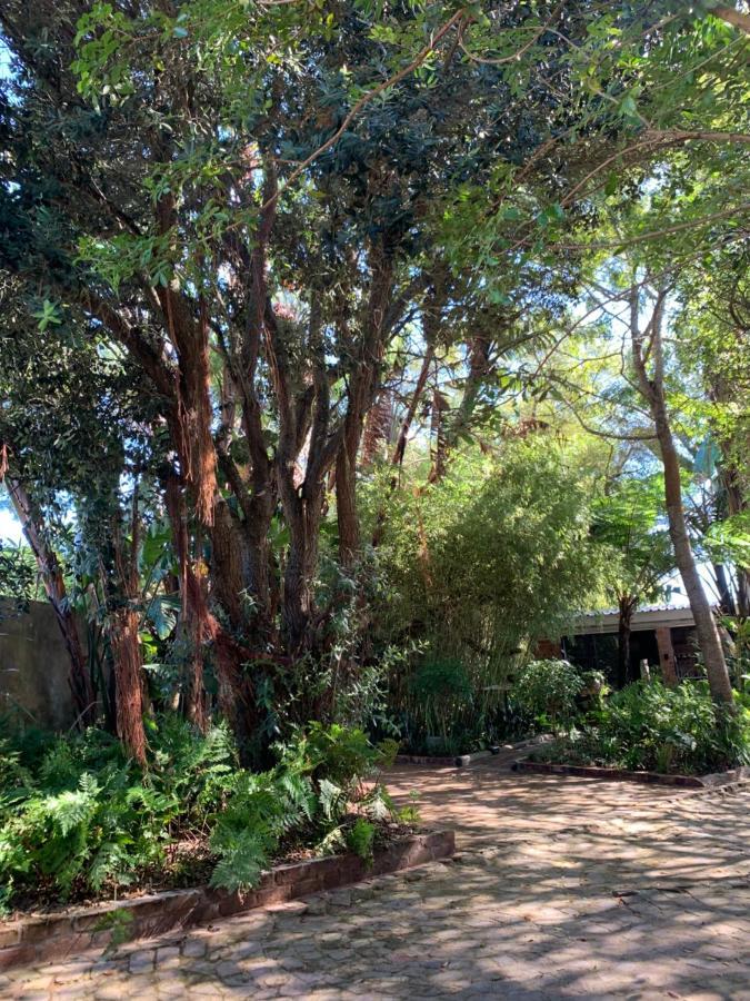 The Secret Garden Hideaway Διαμέρισμα Μόσελ Μπέι Εξωτερικό φωτογραφία