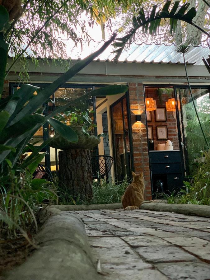 The Secret Garden Hideaway Διαμέρισμα Μόσελ Μπέι Εξωτερικό φωτογραφία